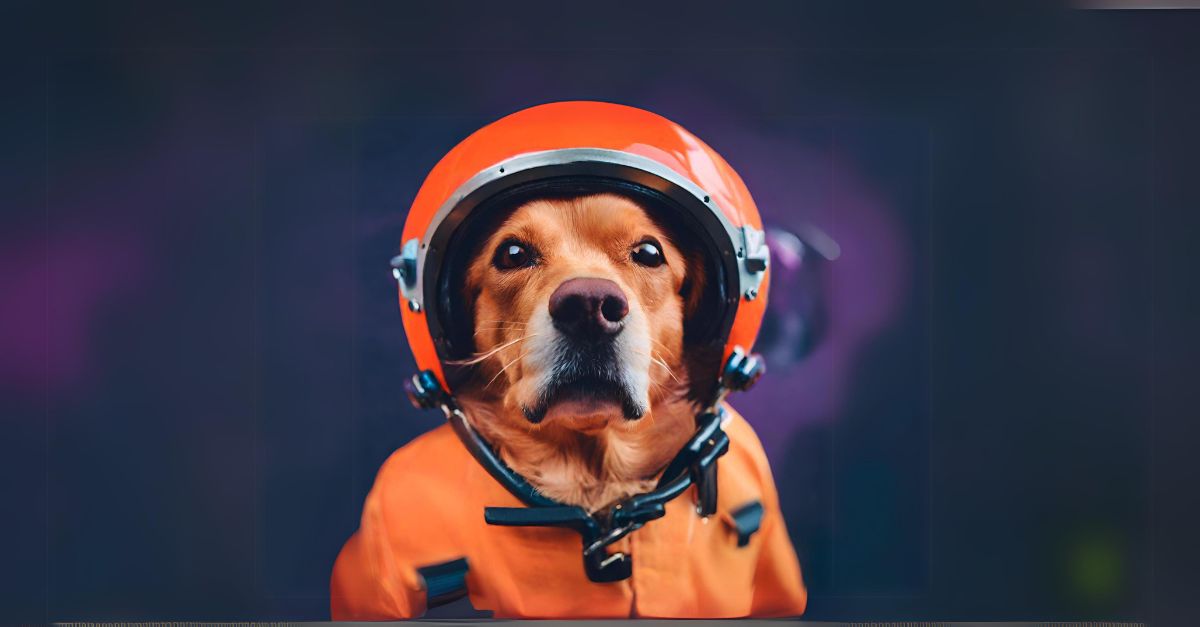 copilot-comparison-featured a dog wearing an orange pilot uniform and helmet in front of a purple background
