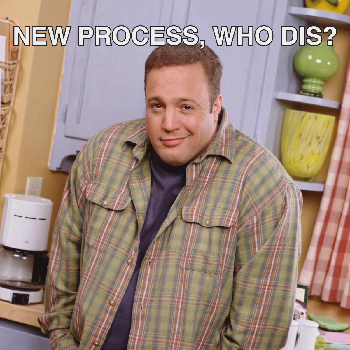 20 Meme description: Kevin James looking smug Meme text: New process, who dis?