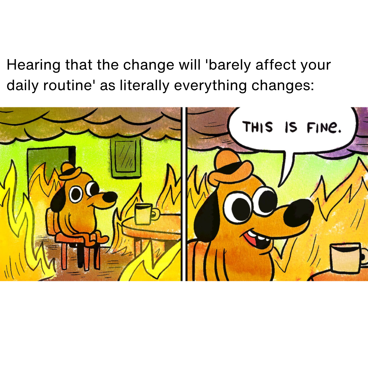 Copy of Change Campaign – 20 Memes (1) Meme description: Dog sitting on chair with everything burning around them Meme text: Hearing that the change will 'barely affect your daily routine' as literally everything changes: